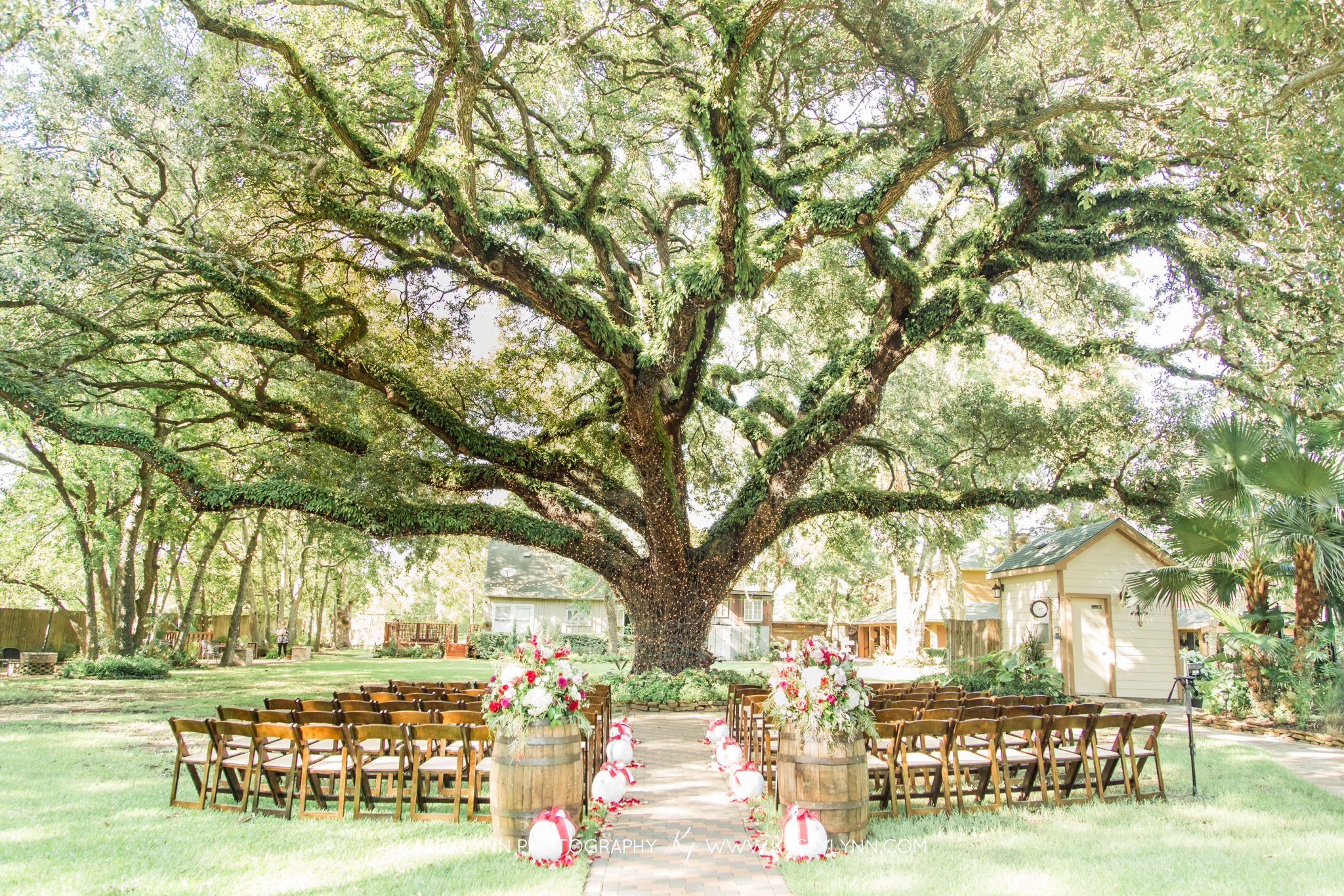 Oak Tree Manor / Kasey Lynn Photography