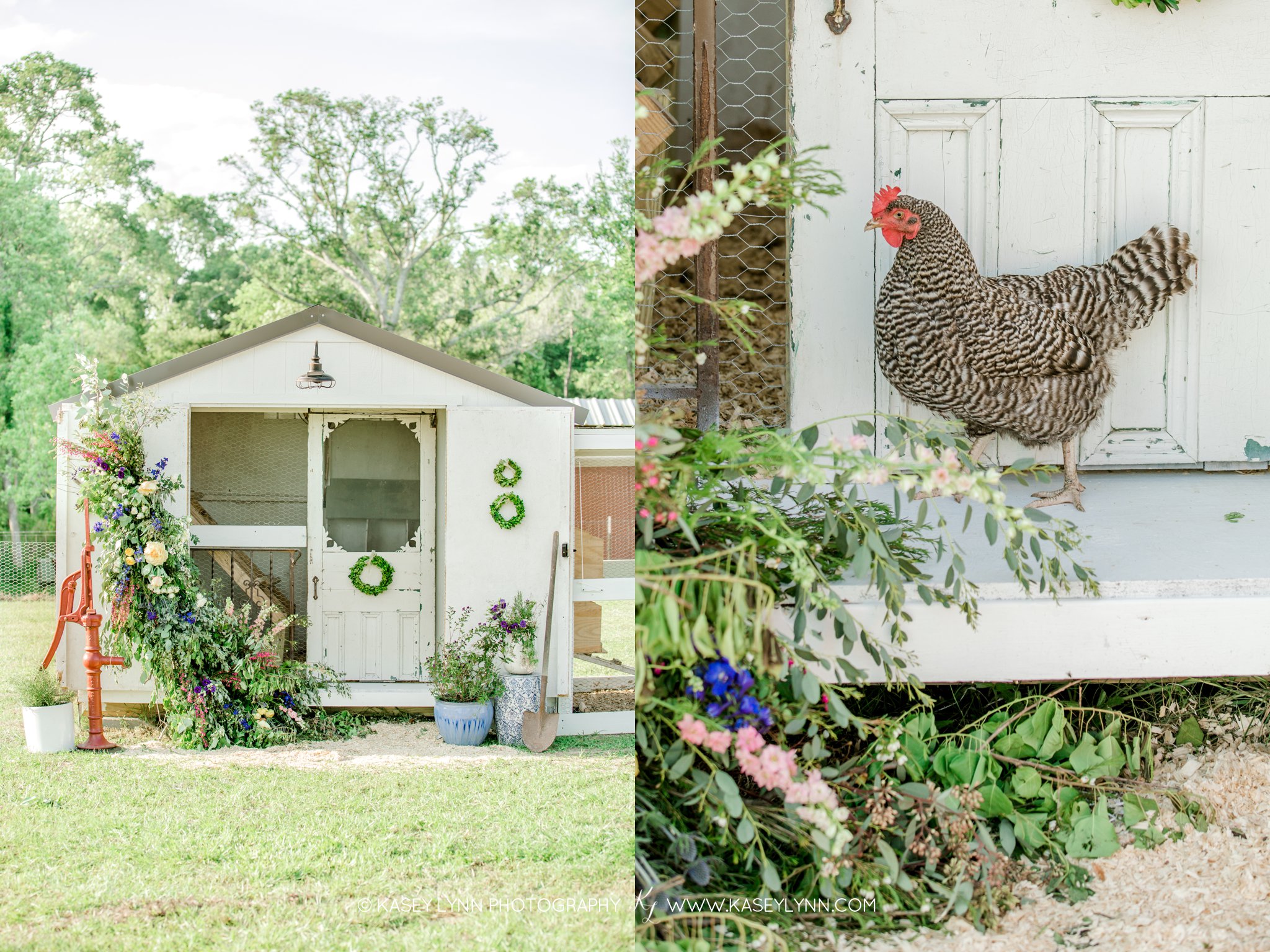 Family Farm / Kasey Lynn Photography